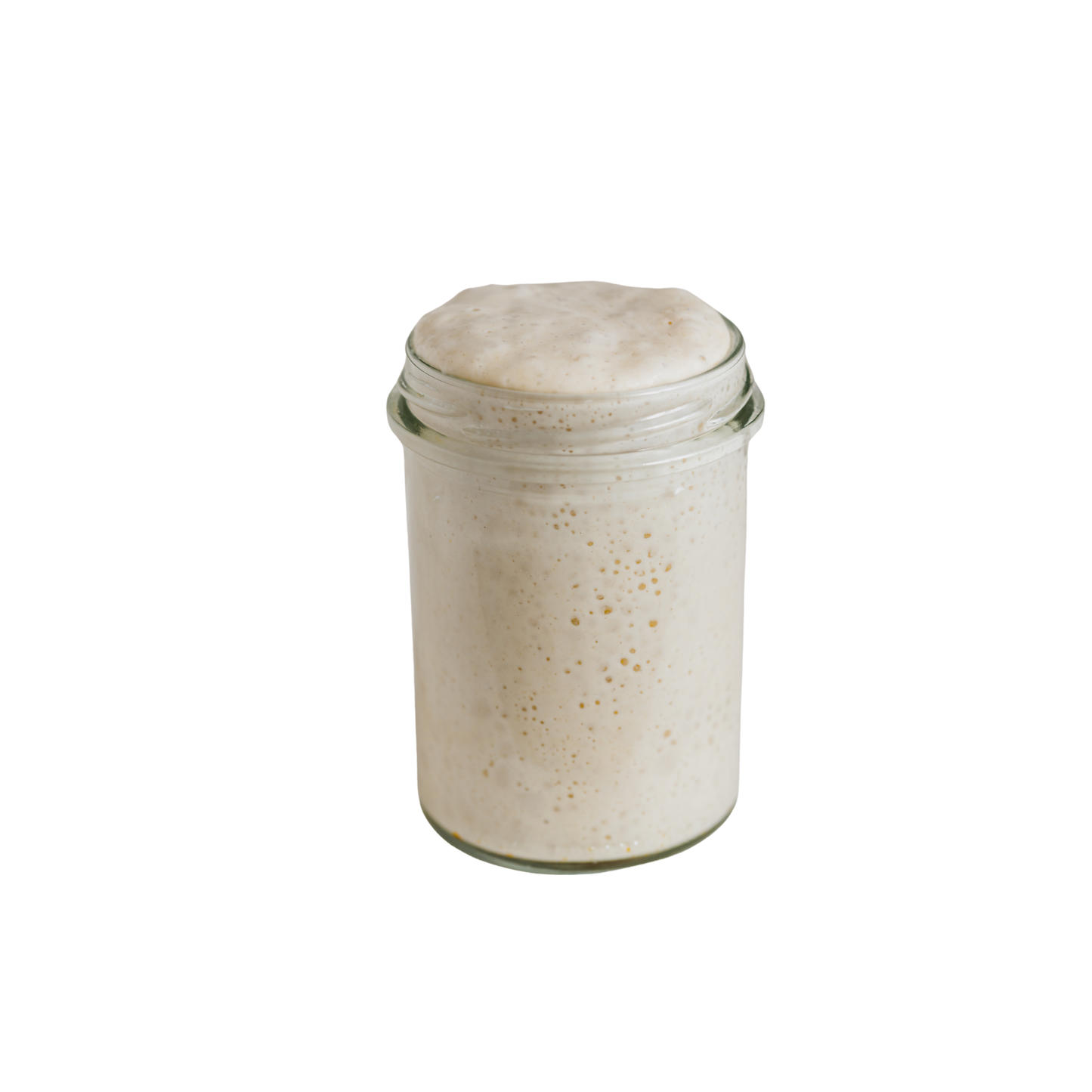 Sourdough Starter